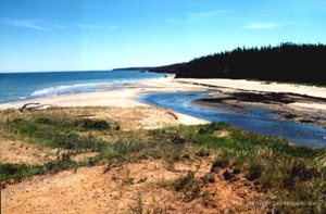 rightstreambeach_sm 