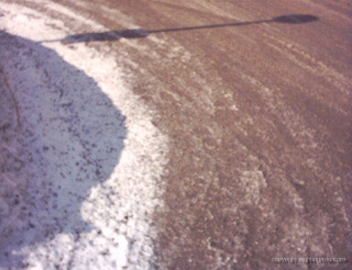 stopsignshadow 