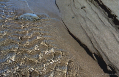 streamrocksand 