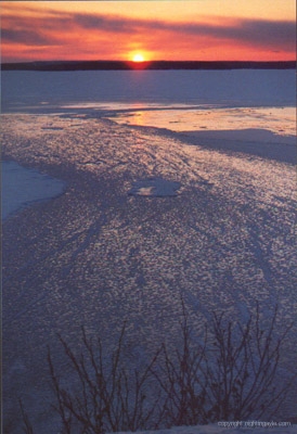 sunsetmarionbridge_sm 
