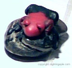 frog 