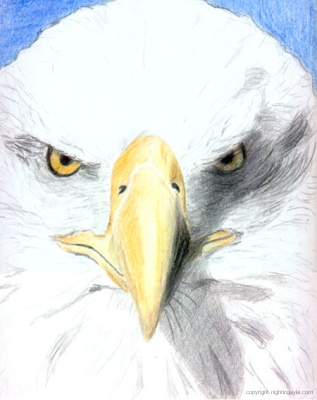 Eagletop 